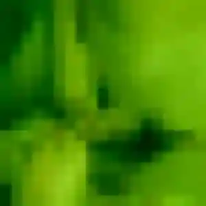 Amani, 21 ans, connectée à Vry pour un rencontre adulte