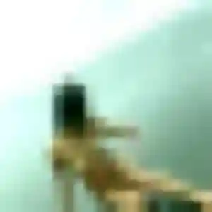 Rejoins Séraphine, 35 ans à Warhem gratuitement