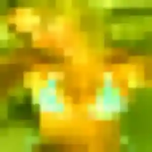 Sandy (30 ans) à Watten attend un rencontre adulte ce soir