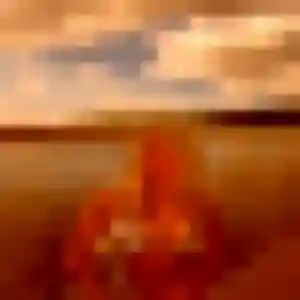 Céline, 37 ans, dispo pour rencontre adulte à Westhoffen