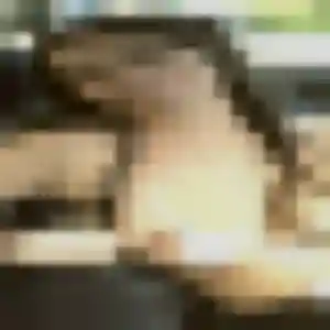 Adeline, 25 ans, connectée à Wickerschwihr pour un rencontre adulte