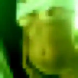 rencontre adulte à Willerval : profil de Bernadette, 31 ans - sans engagement