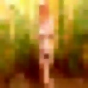 Nyima, 45 ans, en ligne à Willerwald pour un rencontre adulte