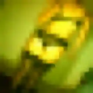 Découvre Ramatoulaye, 35 ans à Witry-lès-Reims gratuitement