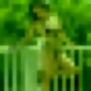 Afi de Woignarue, 36 ans - rencontre adulte sans lendemain