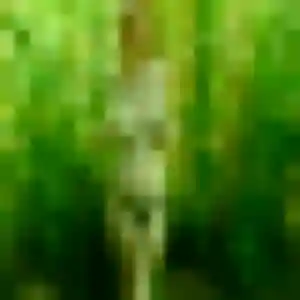 Océane (42 ans) à Wormhout attend un rencontre adulte maintenant