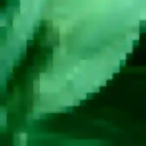 Selbé (30 ans) à Yerville cherche un rencontre adulte aujourd'hui